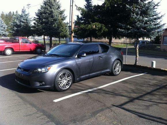 scion side