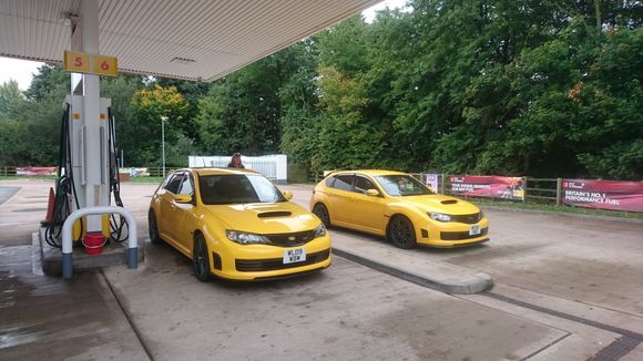 First two in UK, before they were everywhere!  In their natural habitat. 