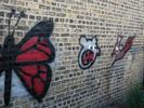 Superhawk Graffiti