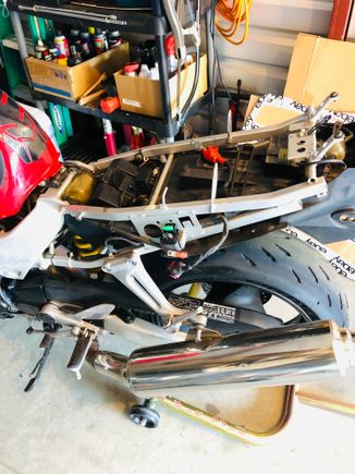 Naked rear. 