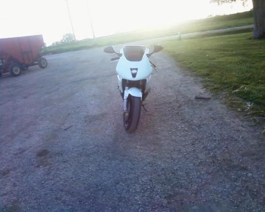 Photo 0015