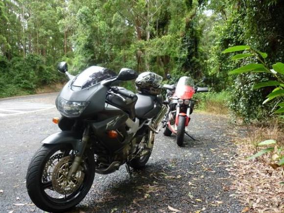Up Mt Glorious with my mate Gaz on his Buell .