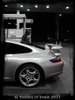Exotics in India - Gallery Exotics in India - Gallery