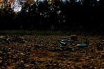 Shooting and Backpacking