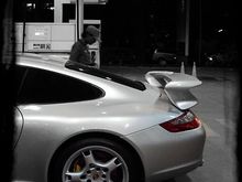 Exotics in India - Gallery