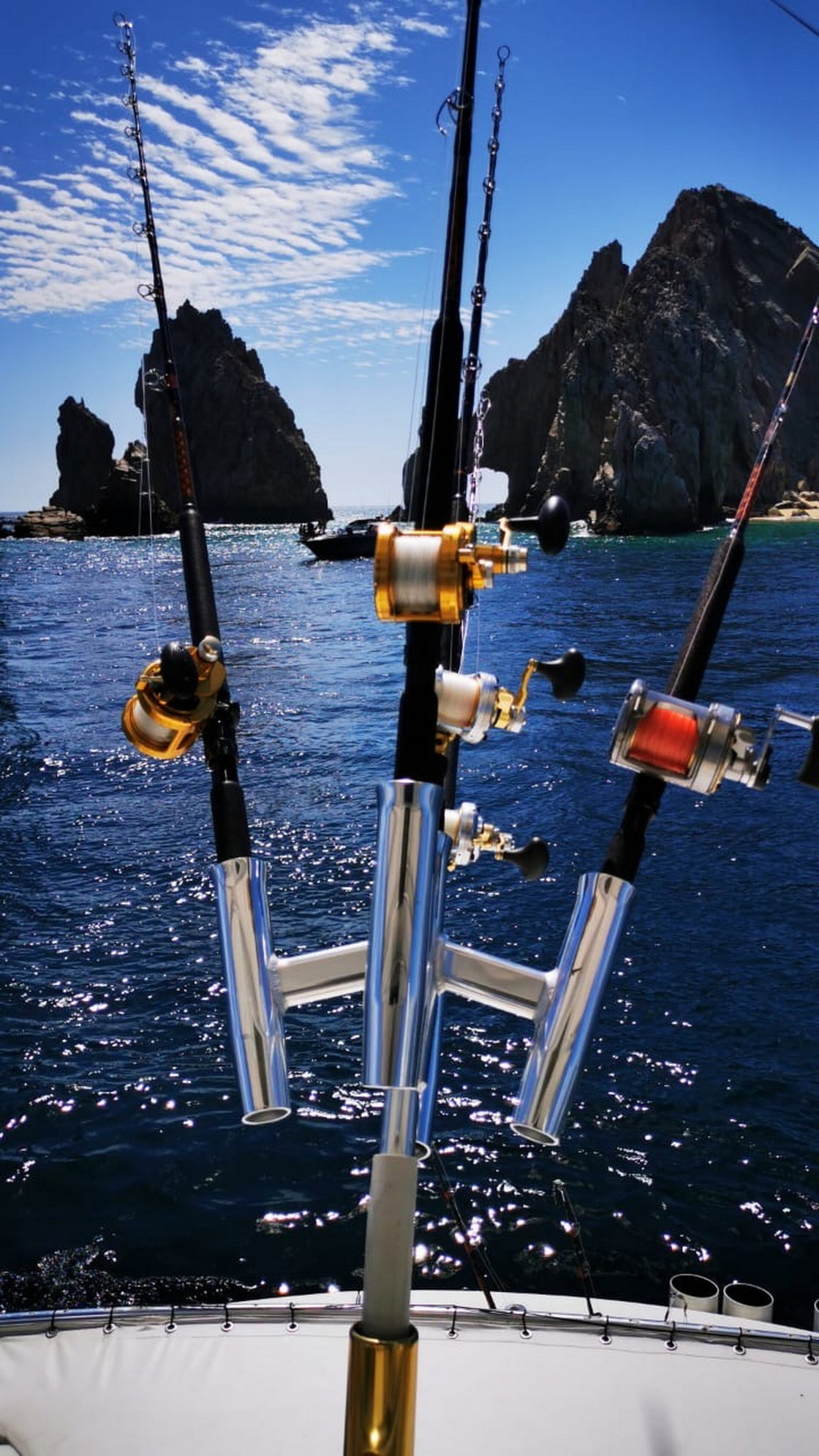 Rod Clusters - The Hull Truth - Boating and Fishing Forum