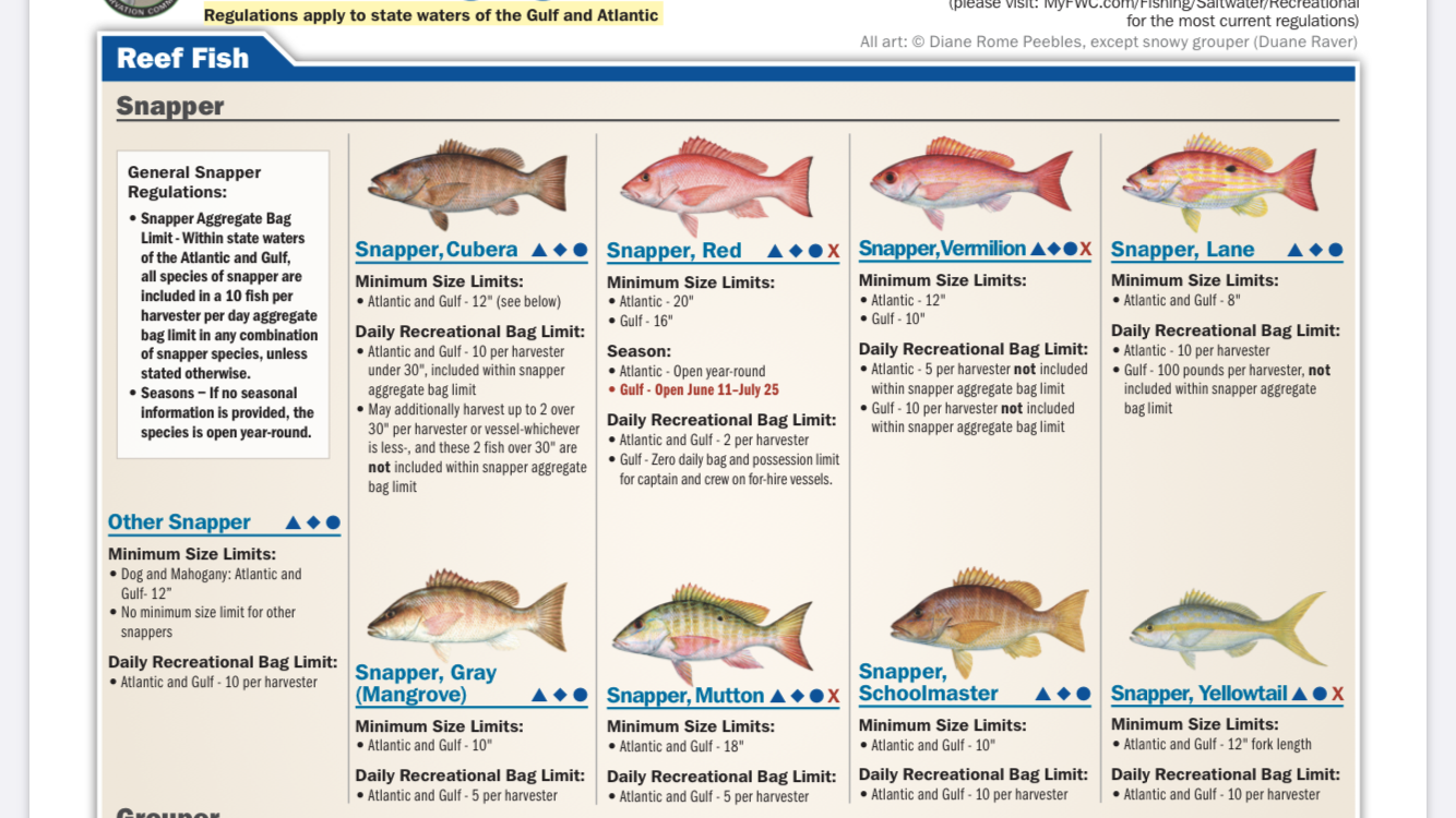 Fish Identification Bag and Size Limits Sign Nambucca Heads New South Wales  Australia Stock Photo - Alamy