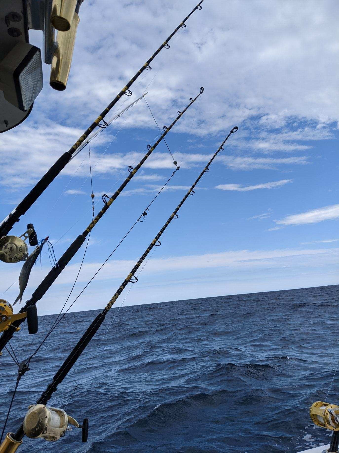 Avet 50w reels, Chaos 6' Custom rods with Fuji Guides - The Hull Truth -  Boating and Fishing Forum