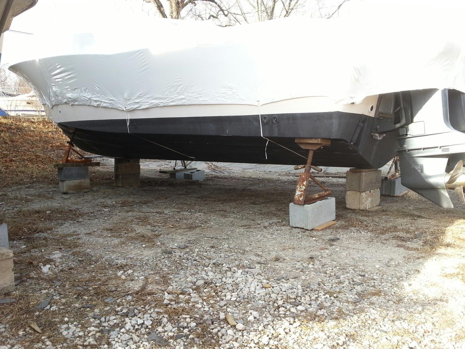 Shark White Bottom Paint The Hull Truth Boating and Fishing Forum