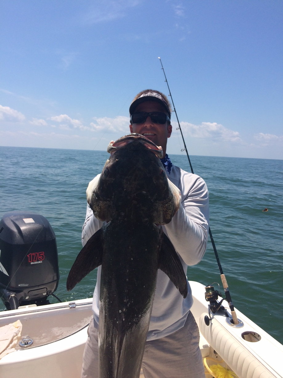 almost cobia season..what lures to use? - The Hull Truth - Boating and  Fishing Forum