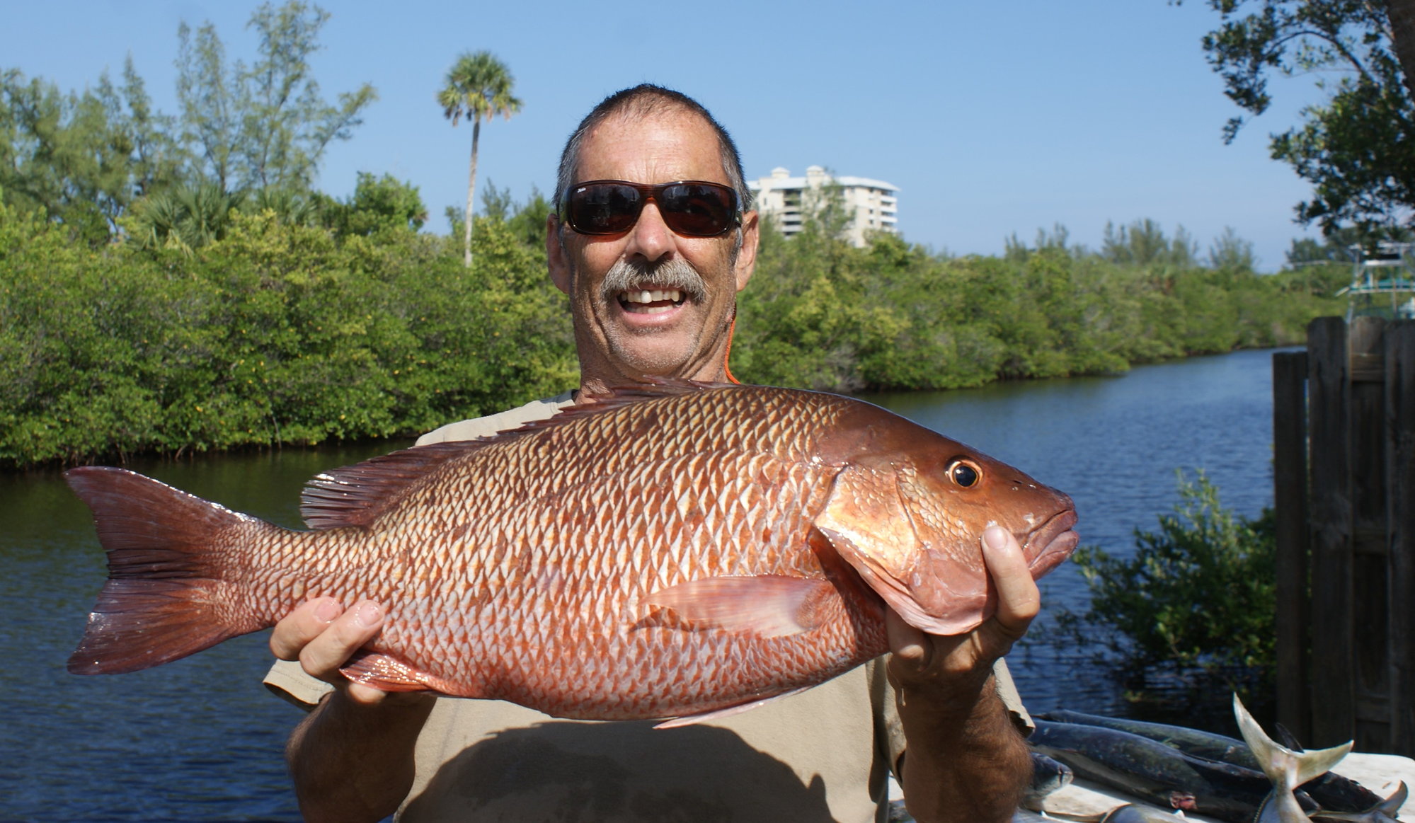 Mangrove snapper rigging? - The Hull Truth - Boating and Fishing Forum