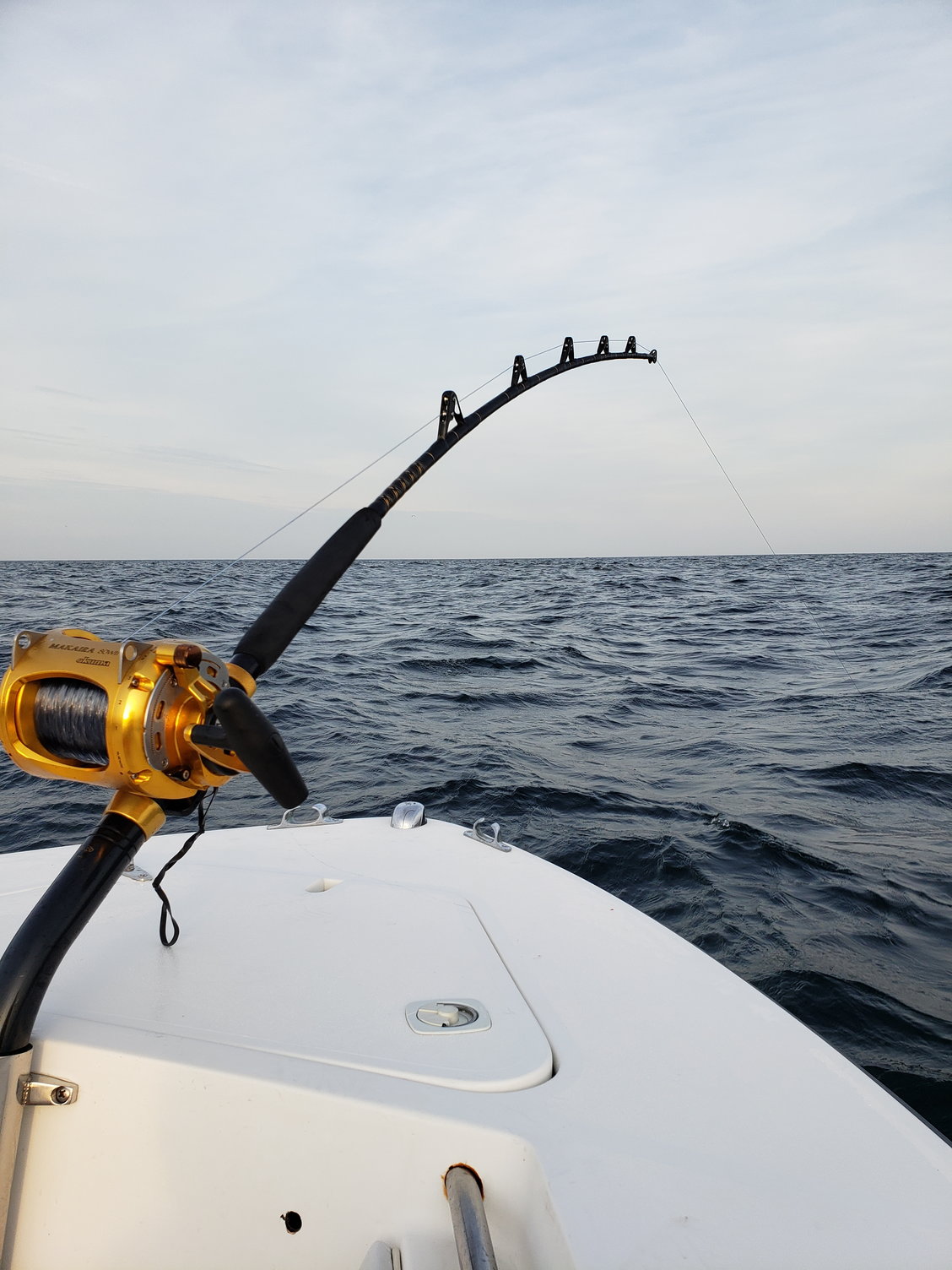 What Size Swivel Rod Holder? - The Hull Truth - Boating and