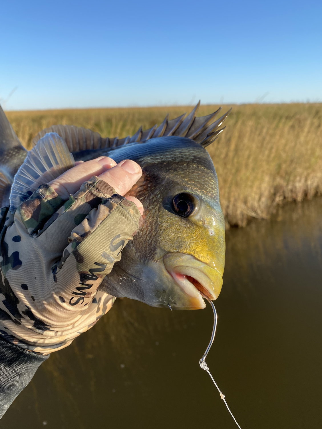 Sheepshead hook - The Hull Truth - Boating and Fishing Forum