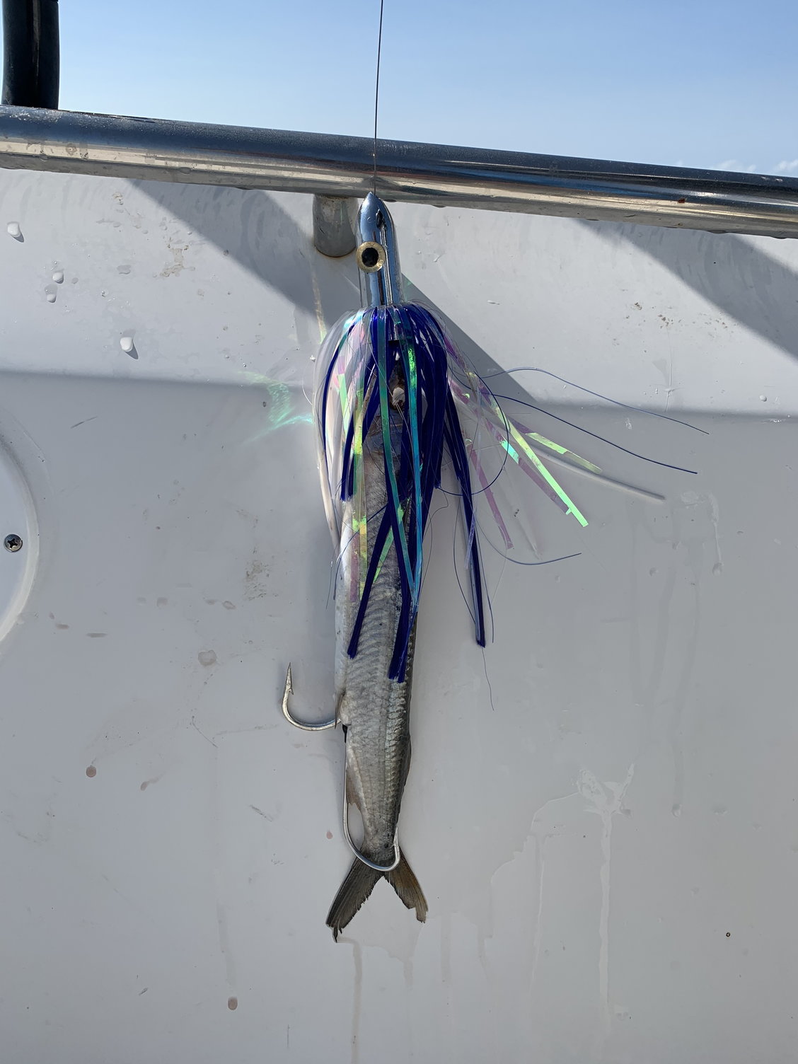 Single hook or double hook - The Hull Truth - Boating and Fishing Forum