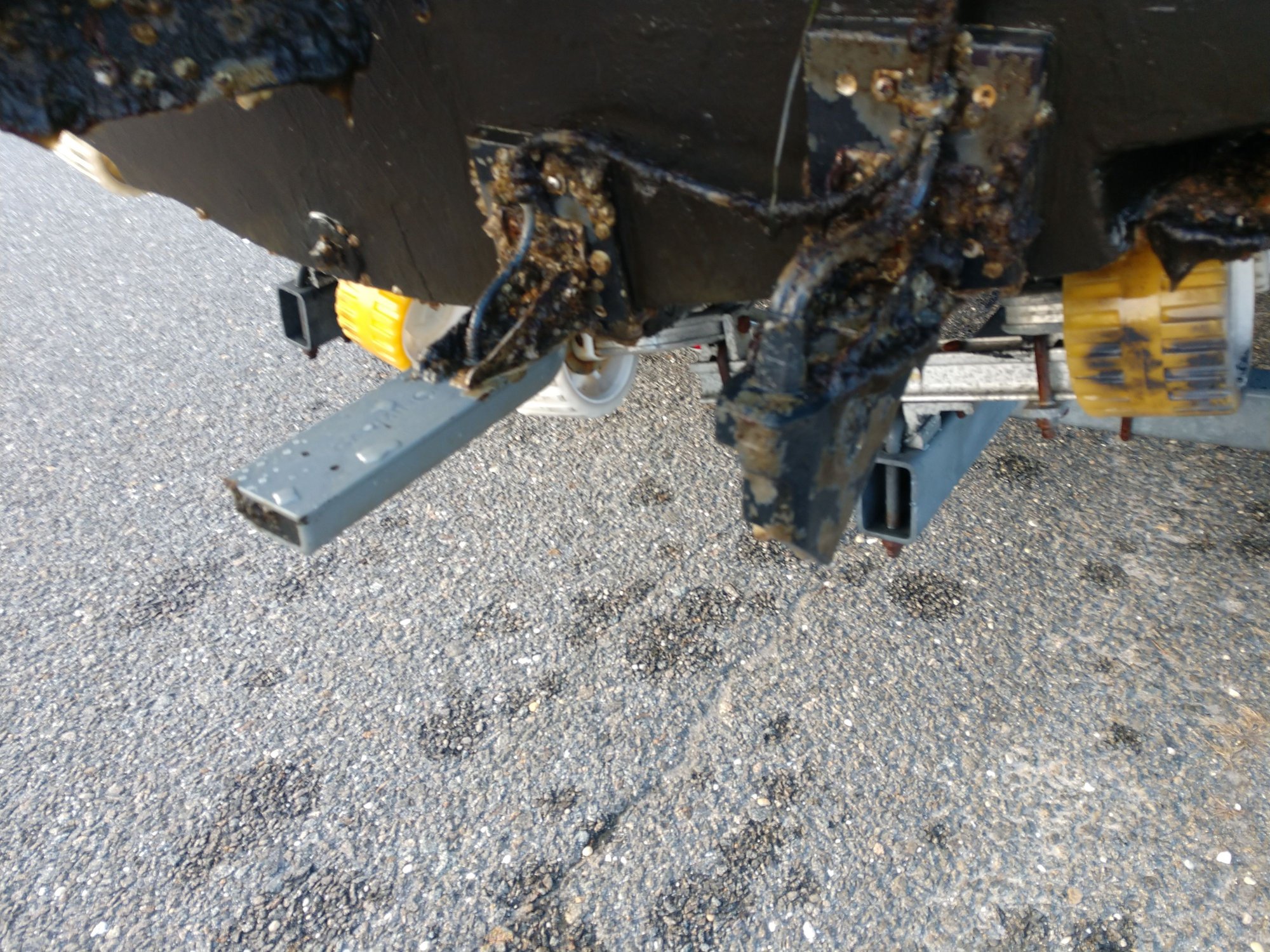 Transducer paint Page 2 The Hull Truth Boating and Fishing Forum