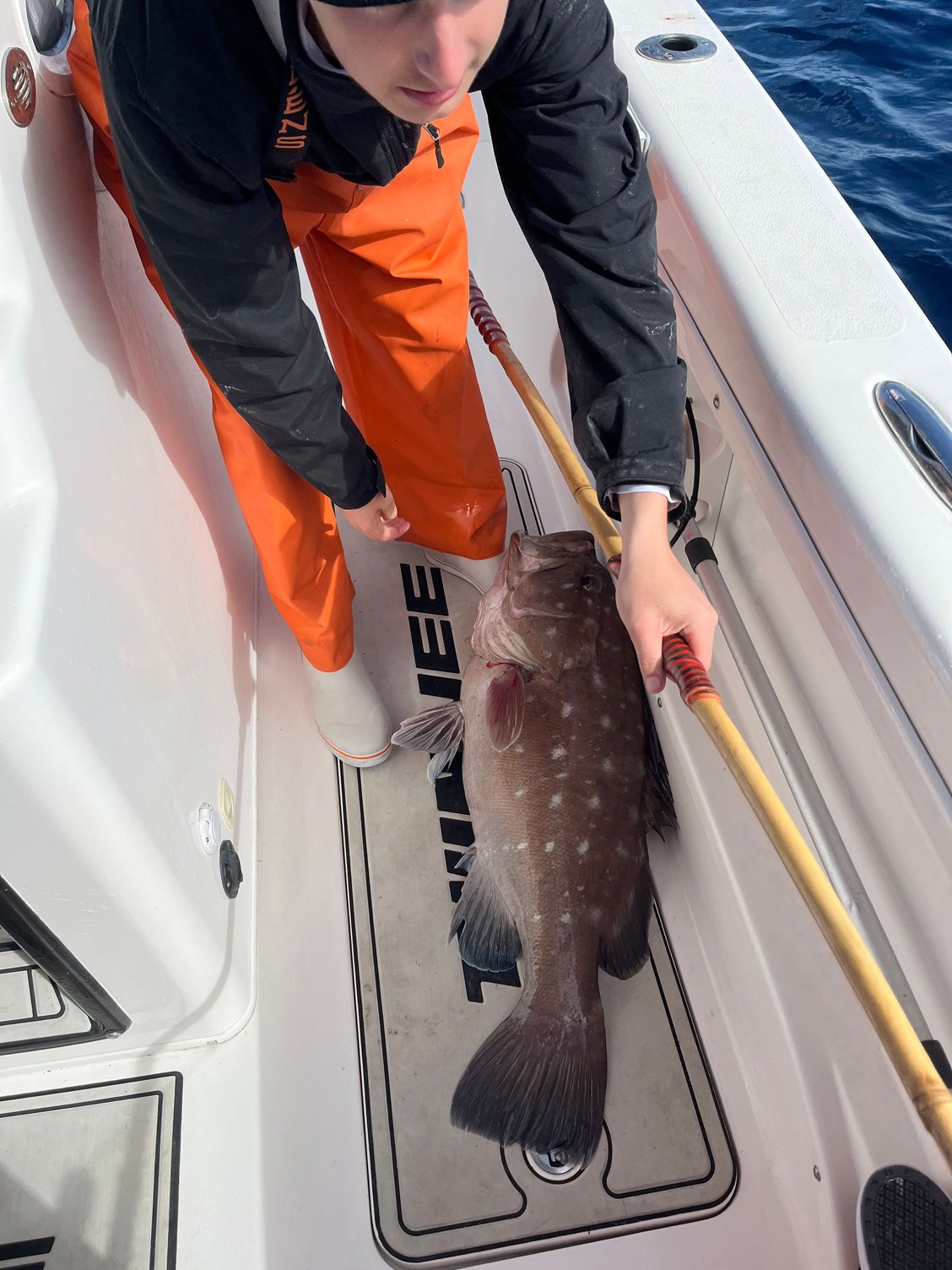 Ft Pierce Inlet and Vero Beach- reports/ fishing advice, etc - Page 191 ...