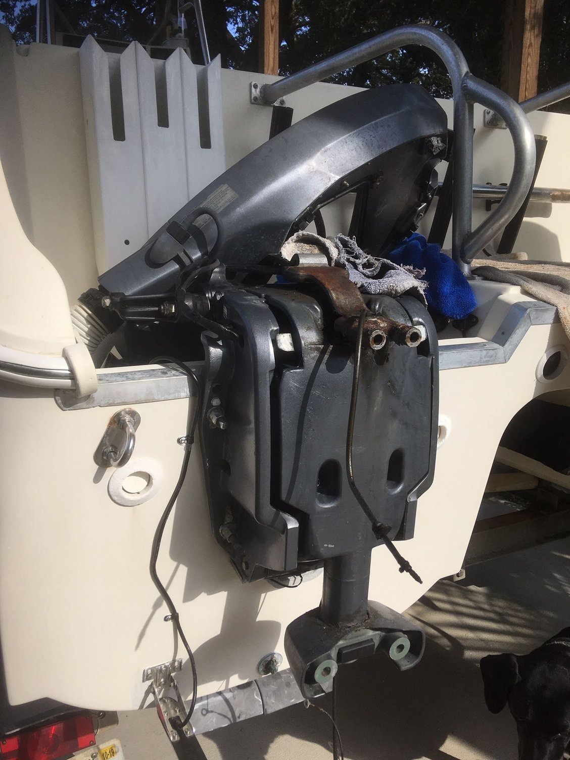Yamaha nopee on hose The Hull Truth Boating and Fishing Forum
