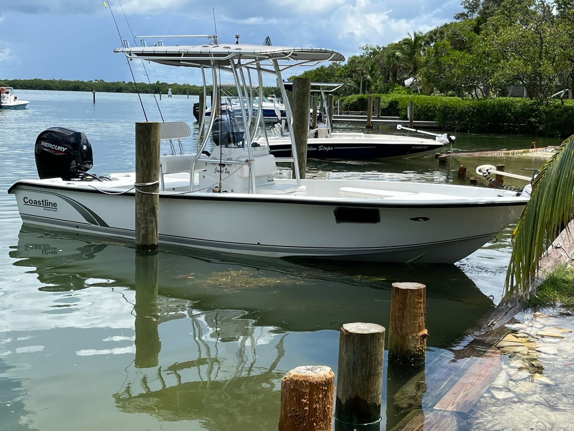 T top or bimini - The Hull Truth - Boating and Fishing Forum