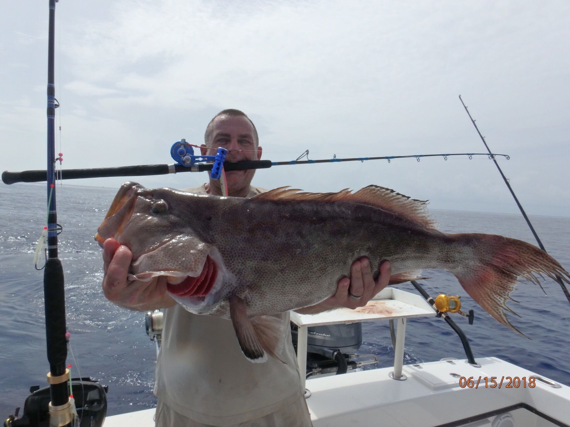 Rod and reel for Grouper. - Page 3 - The Hull Truth - Boating and Fishing  Forum