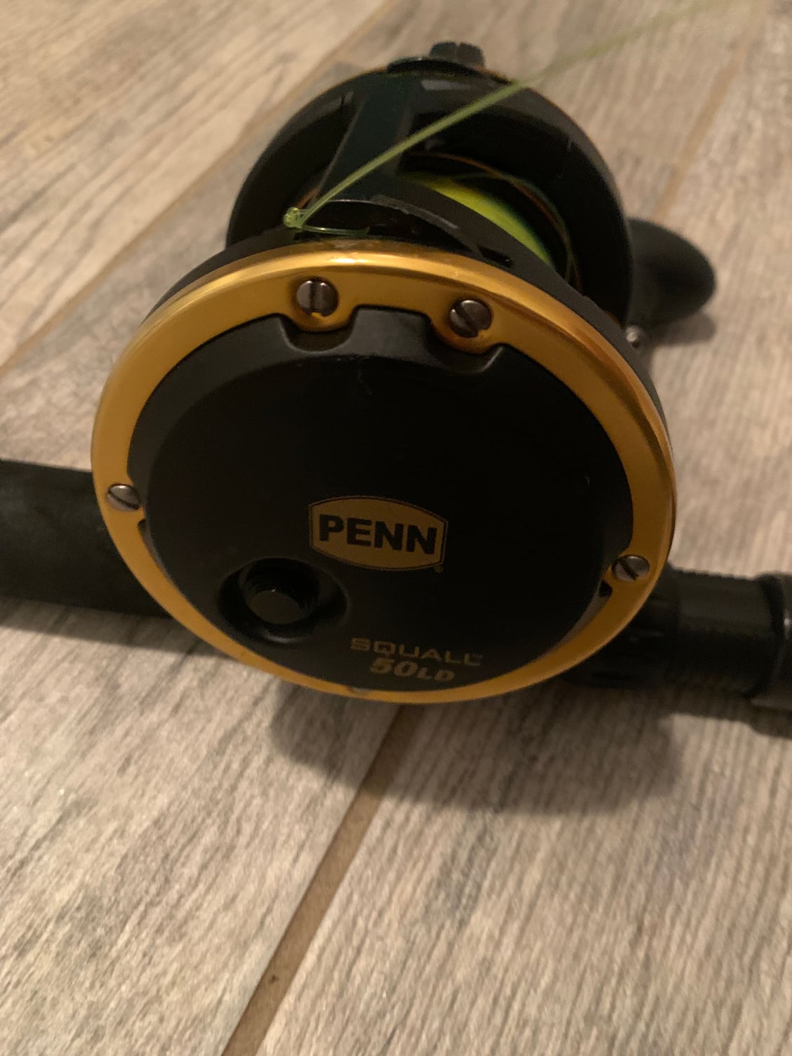 Penn squall 50ld