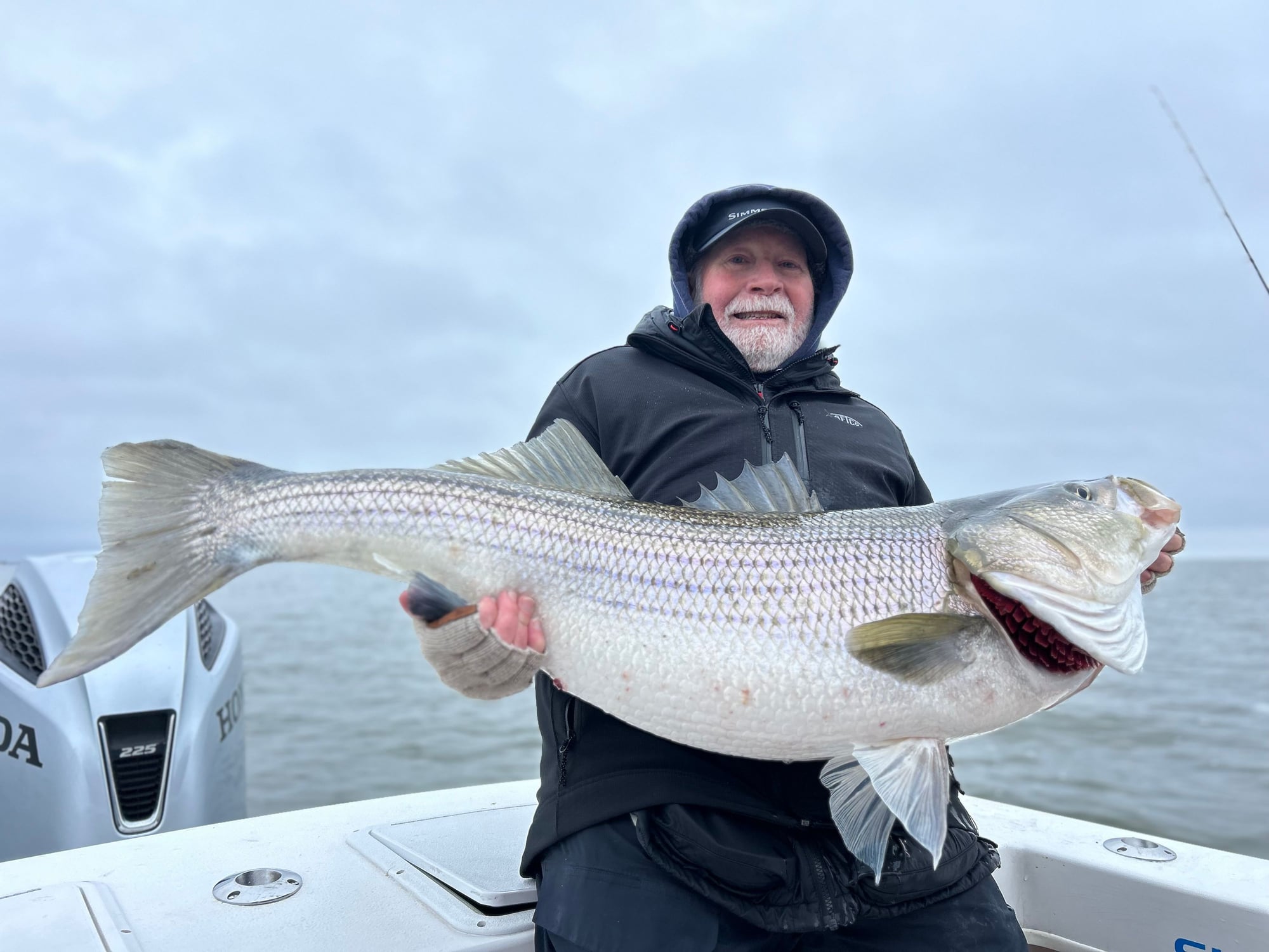 2024 MD Chesapeake Bay Fishing Reports - Page 2 - The Hull Truth - Boating  and Fishing Forum
