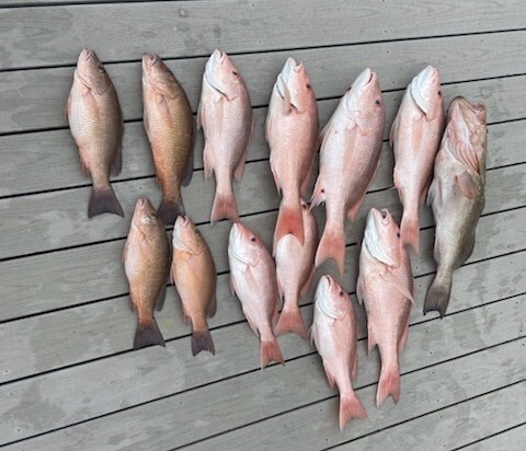 2022 West Florida Red Snapper Thread - The Hull Truth - Boating and Fishing  Forum