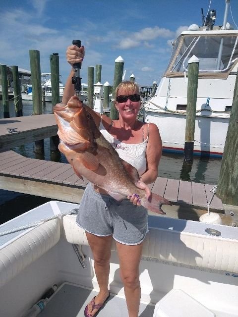 What reel for grouper/snapper?? - The Hull Truth - Boating and