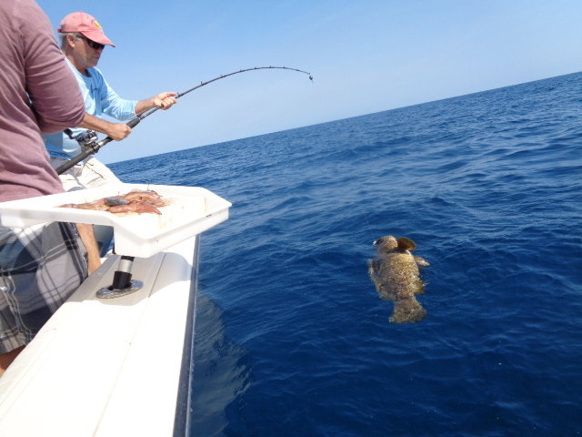 Favorite Snapper / Grouper combo - The Hull Truth - Boating and Fishing  Forum