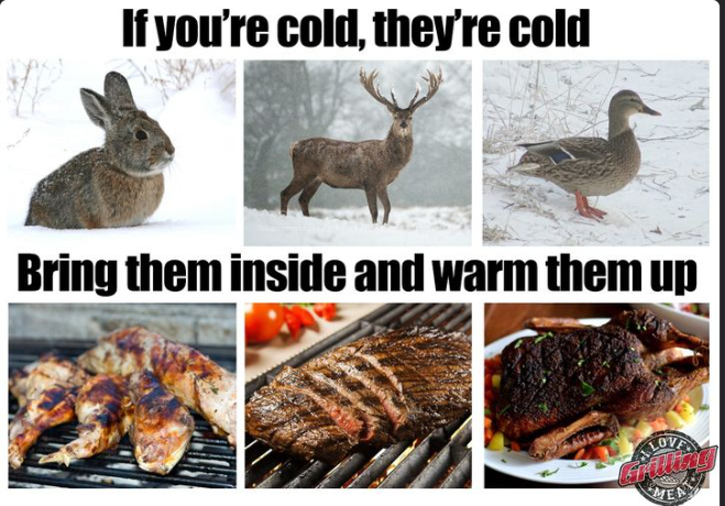 image_681a5e861641f44d2c7a1abb1be41bfa1c