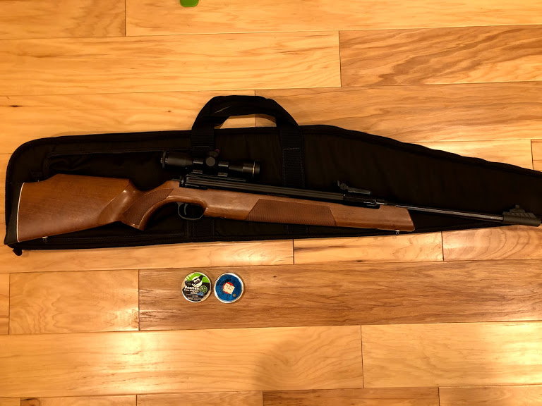 High End Air Rifle RWS Diana Model 54 - The Hull Truth - Boating
