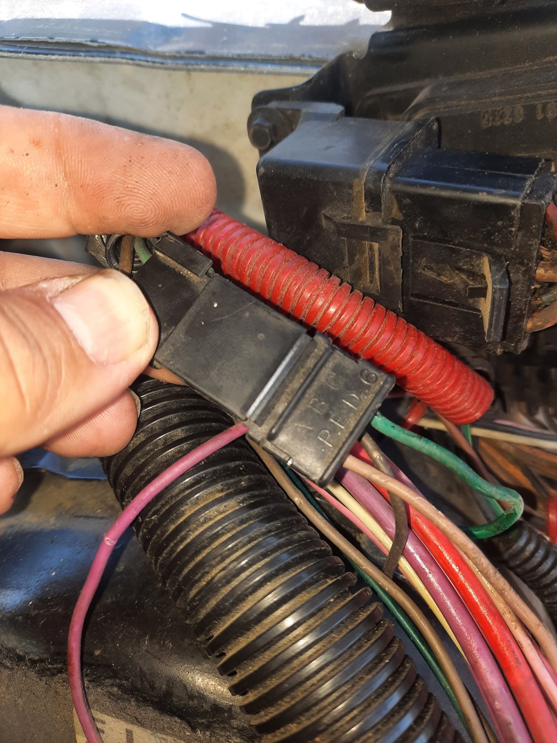 tan wire is oil pressure , dunno about the green
