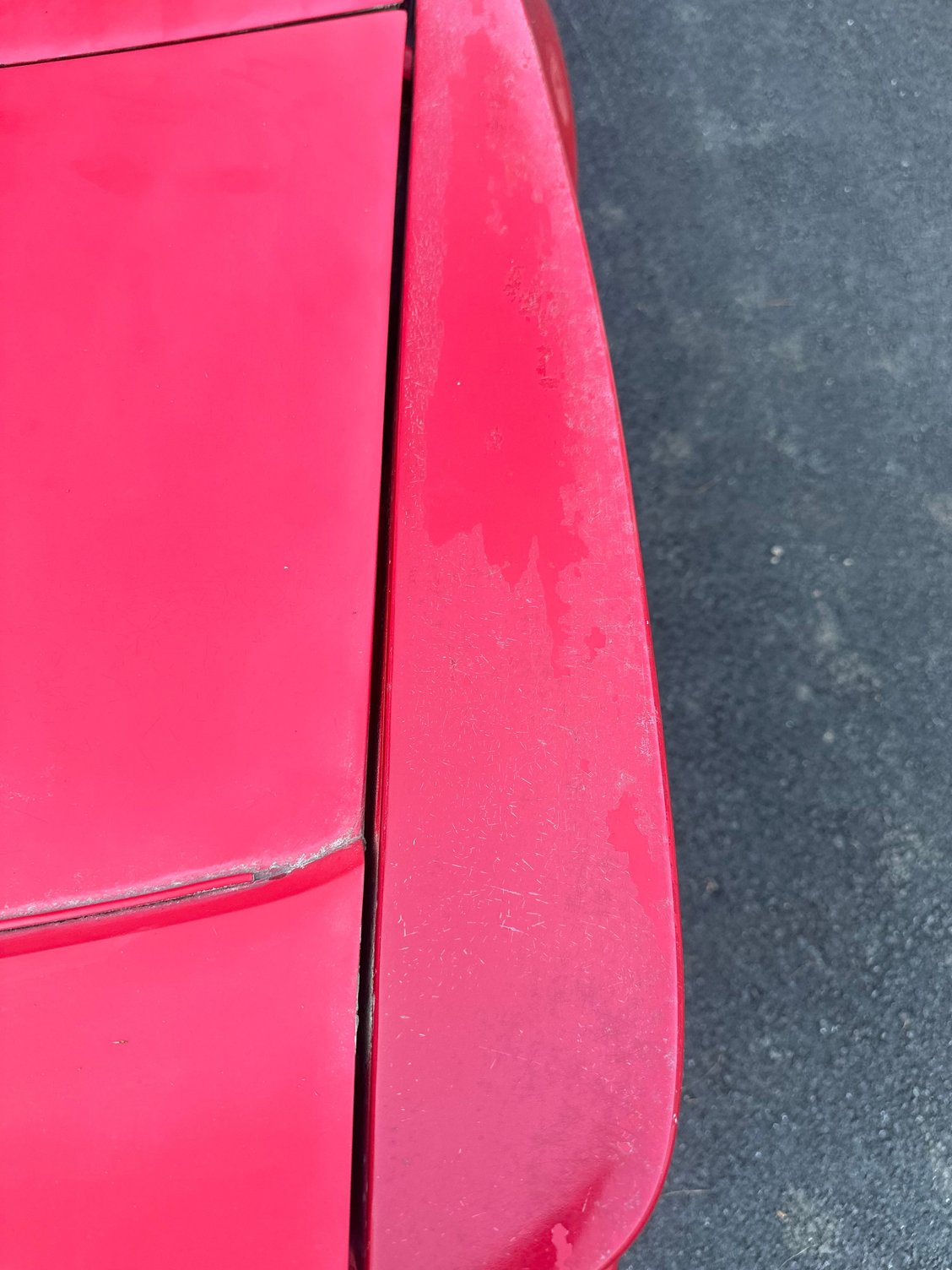 Rattle canned trunk lid and spoiler