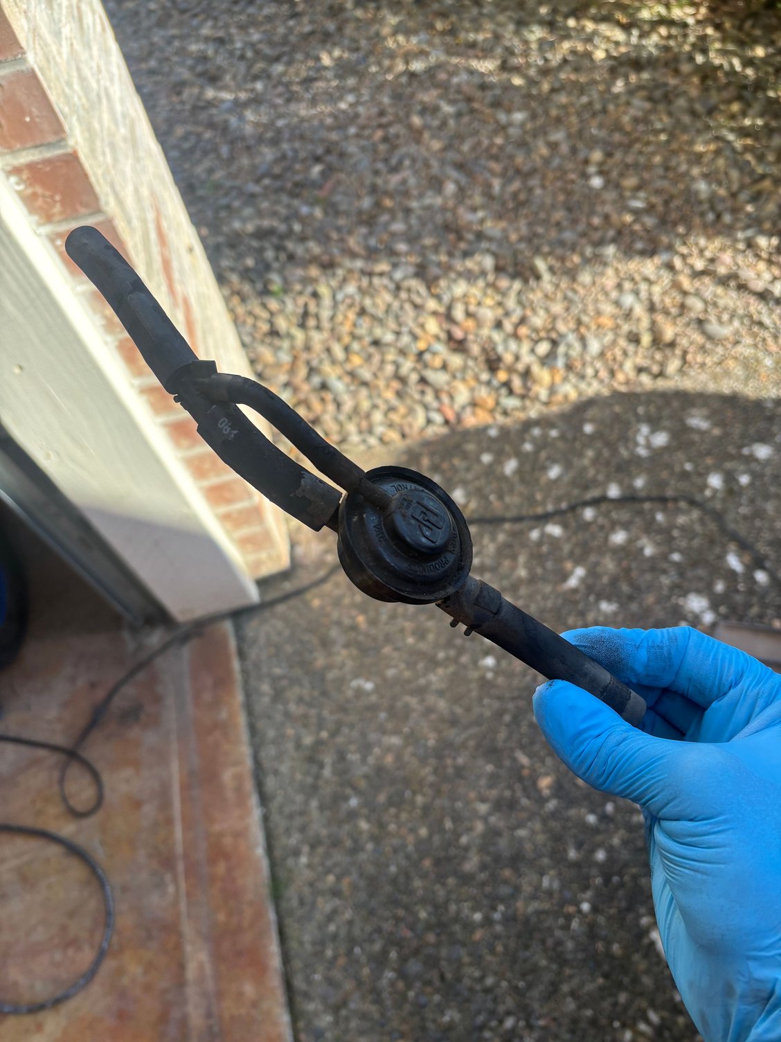 The old one with old hoses 