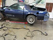 Body harness laid out for disection