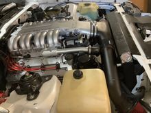 LT5 in all it's awesomeness 