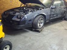 Walked in expecting junk and I find a rust-free T-top car. Took the man seriously after that.