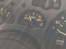 Interesting,Mine are yellow