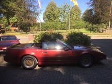 My Post Pictures