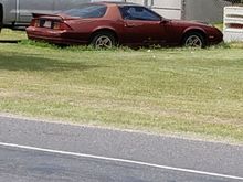 Saw this one down in the valley, south Texas.