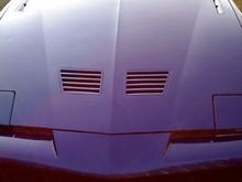 Just Waxed.