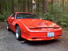 July 21, 2010

After moving to our new house back in Sept 09, the car sat all winter while we fixed up our new house (fixer-upper in bad need of TLC). It finally stopped raining on July 6th, I kid you not. So now I can work on the car again. Pic taken after it's first bath since the move.