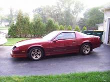 This IROC Z28 came with the gold package...gold wheels and gold/black lower body stripe and gold lower skirt (5.7 LITRE TUNED PORT INJECTION ) badges