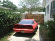 032 my babe is back home in the backyard