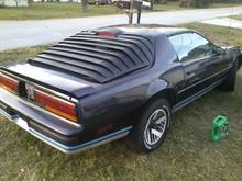 louvers from the back yard
