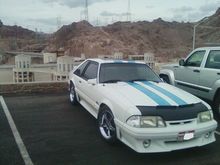 Mustang