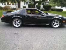 whips