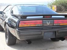 Exhaust Tips Back