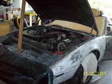 The project