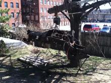 future motor hanging from my tree... how we do it when we have only rope a tree and chains haha