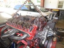 Built 350 going in... Fresh paint on block, accs. brackets, headers, and engine bay